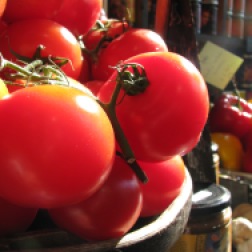 Brighton Tomatoes